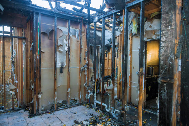 Professional Soot Cleanup technician working in Gainesville, TX